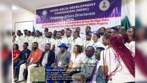 Niger Delta Development Commission (NDDC)