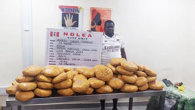 NDLEA