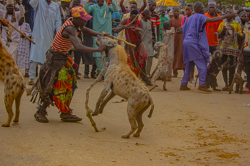 Scene from the Bauchi Durbar. Photographed by Neekay Okpanachi and Melkizedek Okpanachi.