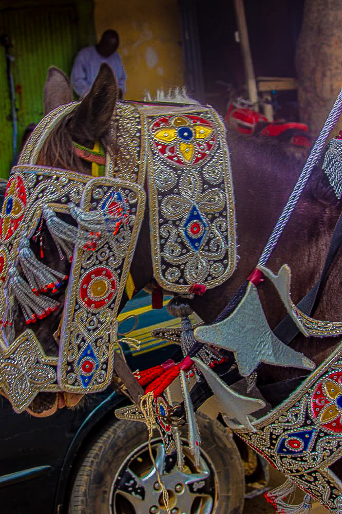 Scene from the Bauchi Durbar