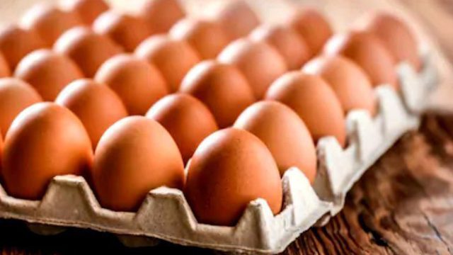 eggs