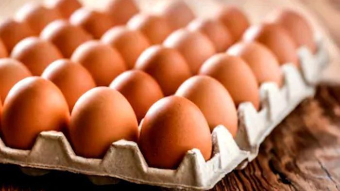 eggs
