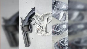 Recovered arms