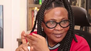 Funmi Falana (SAN)