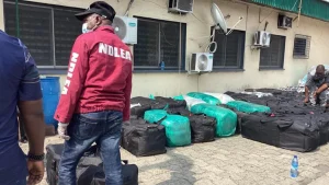 NDLEA officers with seized narcotics