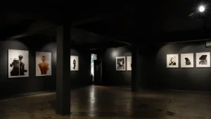 Adebayo Jolaoso exhibition