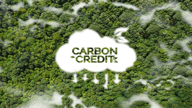 Carbon Credit