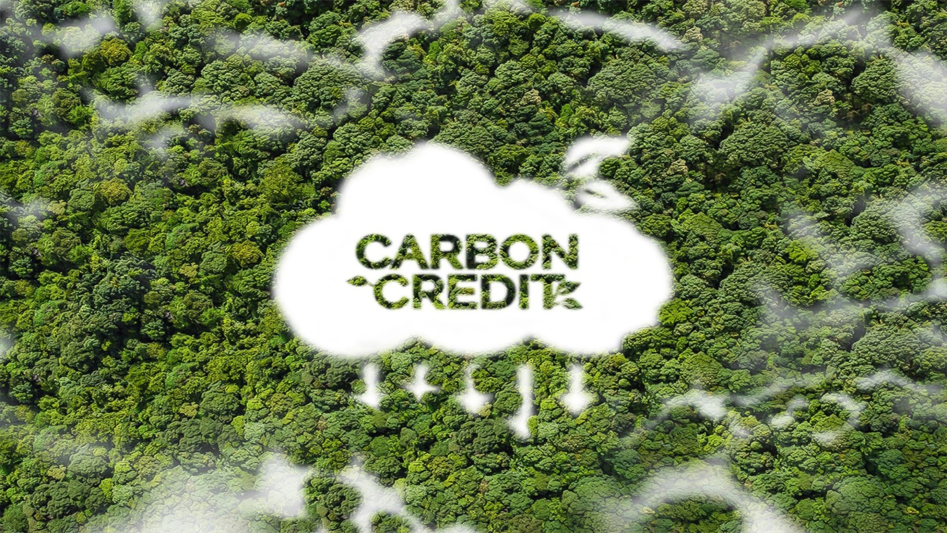 Carbon Credit