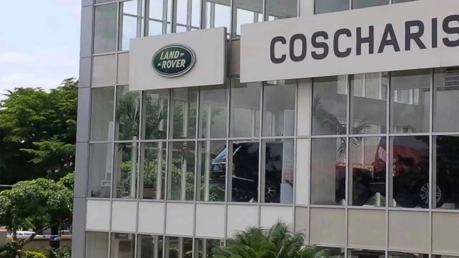 Coscharis