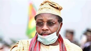 Debo Adesina, ambassador