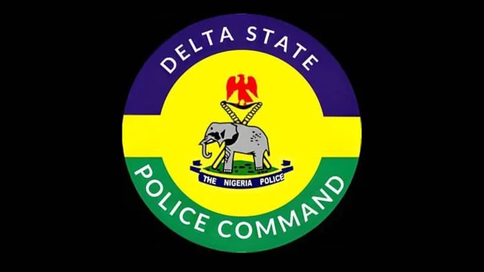 Delta police arrest two suspected cable vandals