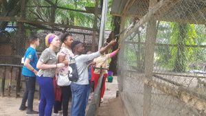 Kids-exploring-Lufasi-nature-park-e1502700369282