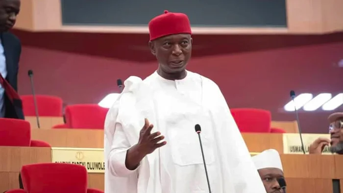 Ned Nwoko