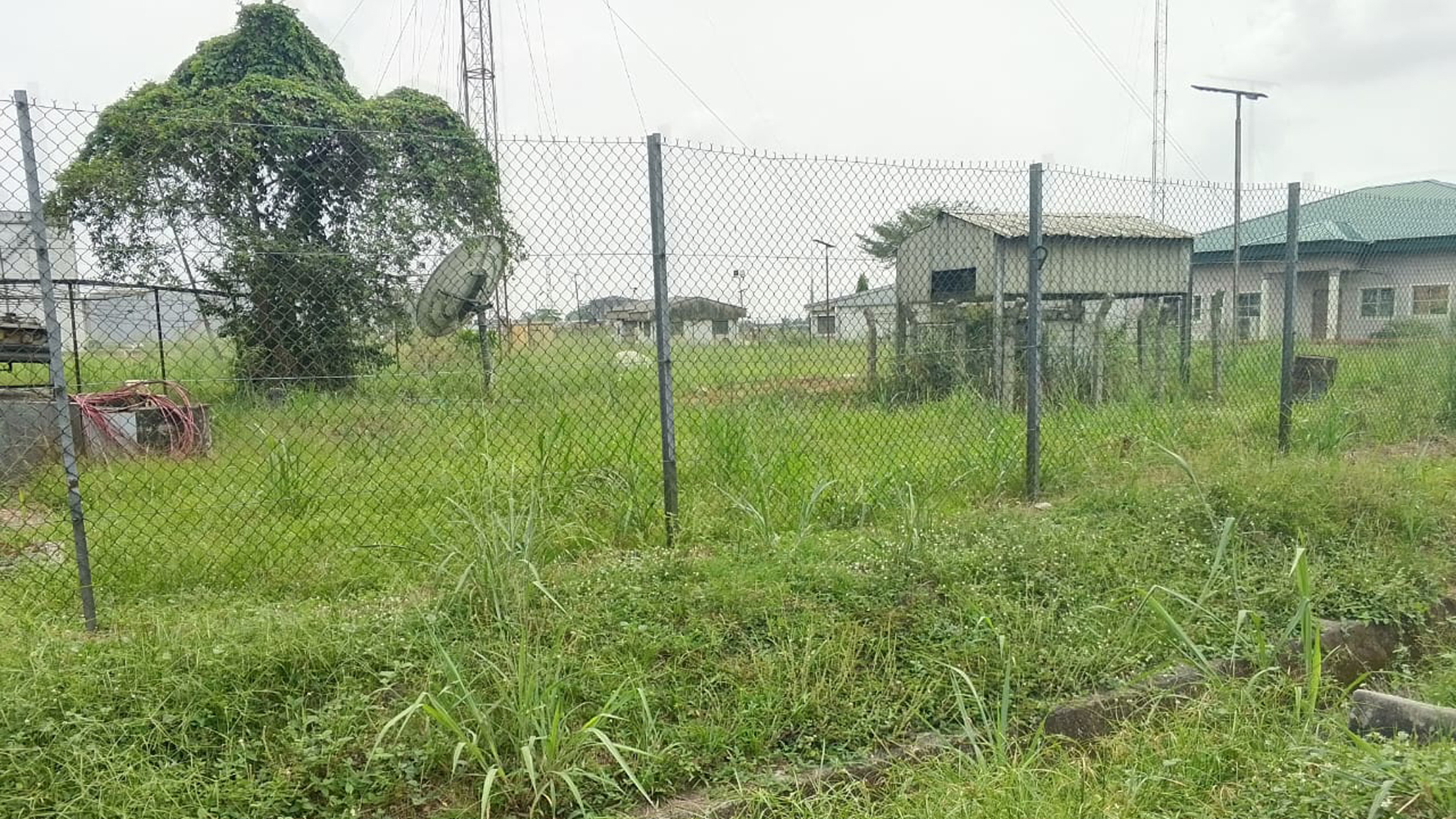 Overgrown lawn within the administrative block of the Port Harcourt Refinery