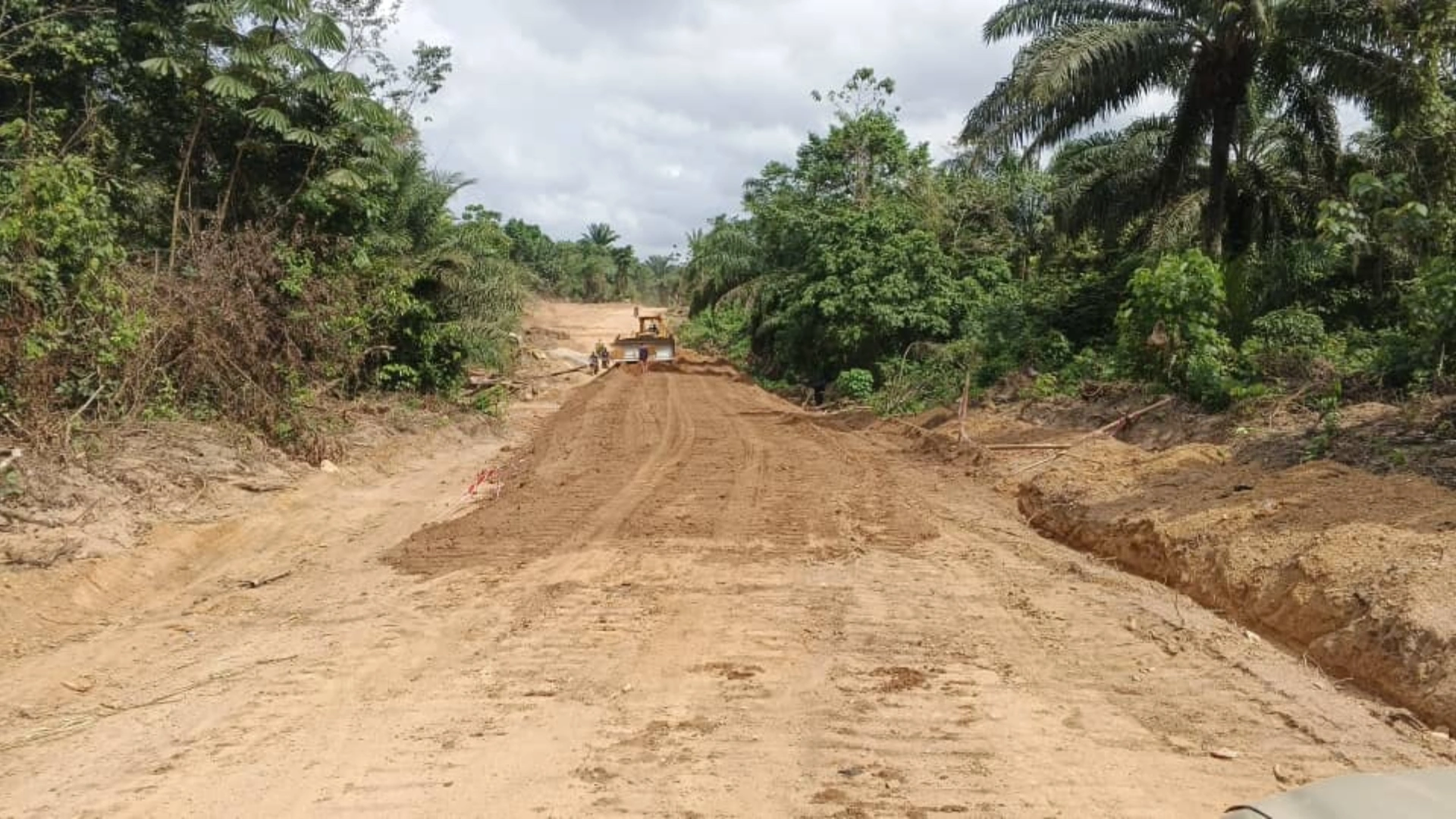Road construction by Rex Forestry Limited