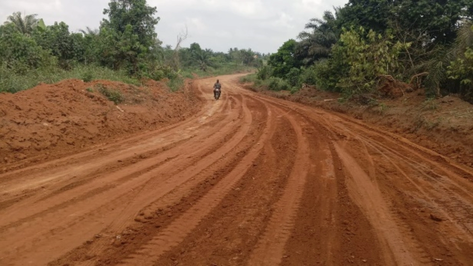Road construction by Rex Forestry Limited