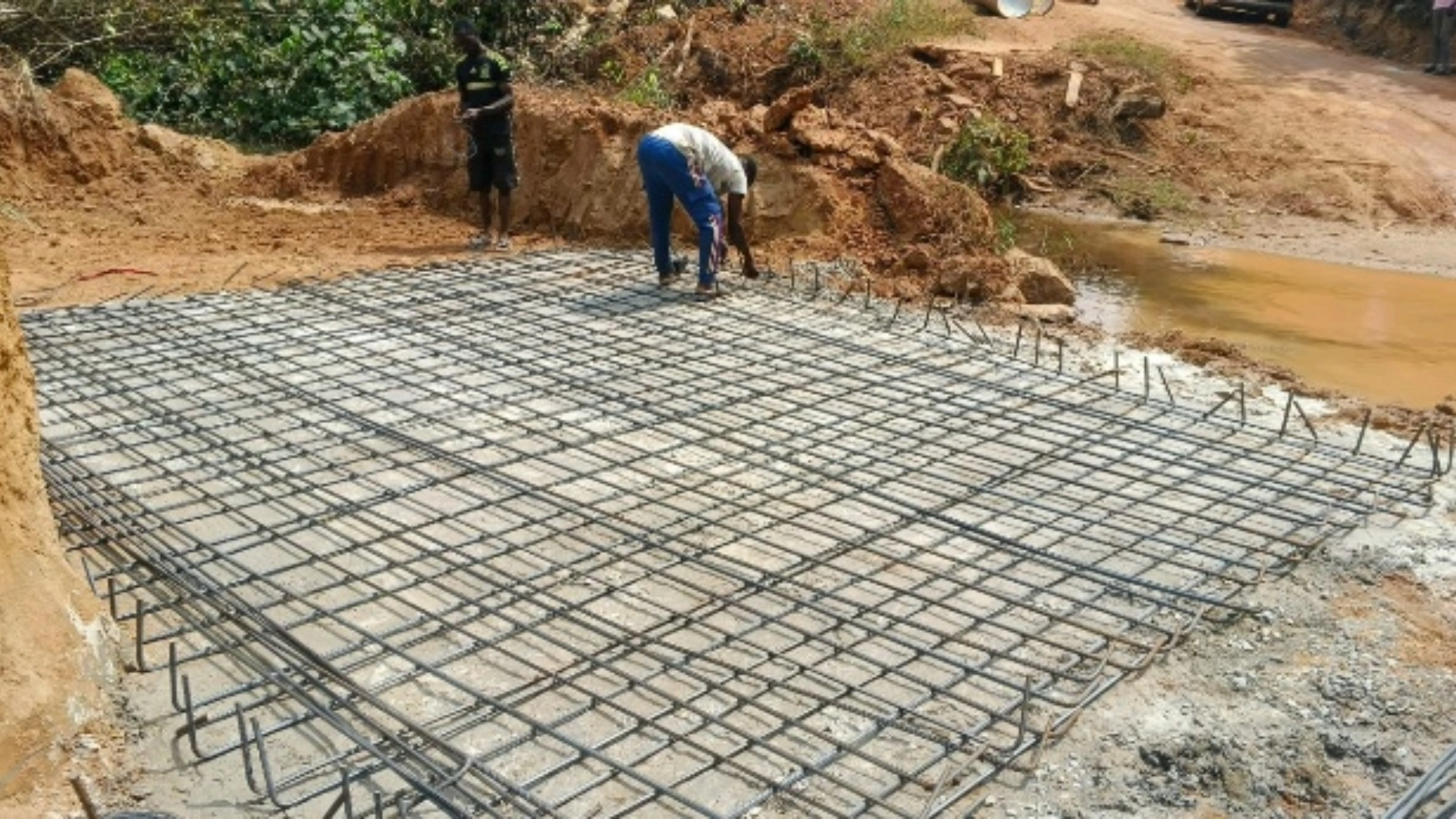 Road construction by Rex Forestry Limited