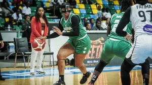 Nigerian basketball