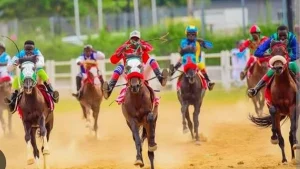 Renewed Hope International Horse Racing