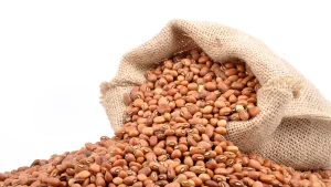 Cowpea