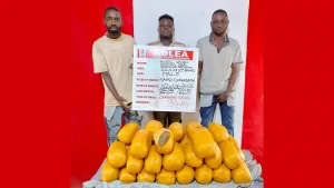 Three suspects arrested with 34 kilograms of skunk