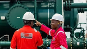 Platform Petroleum