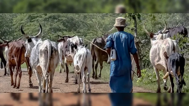 Residents raise alarm as armed men invade Kogi East