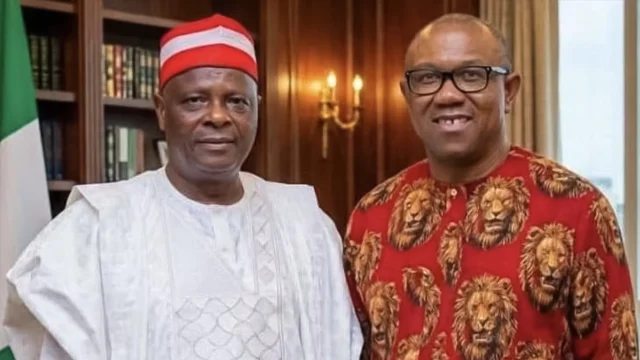 NDC promises Obi, Kwankwaso presidential ticket