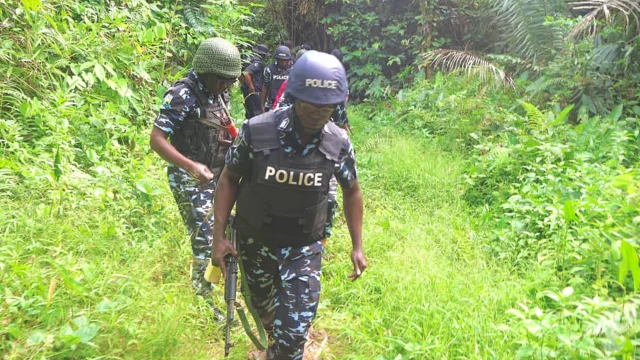 Edo Police
