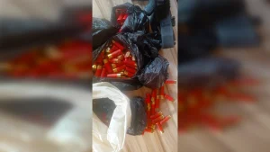 Recovered ammunition