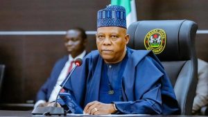 Vice President Kashim Shettima