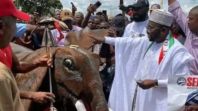 Muhammed Abdullahi
