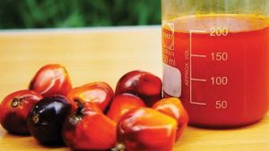 Palm-Oil