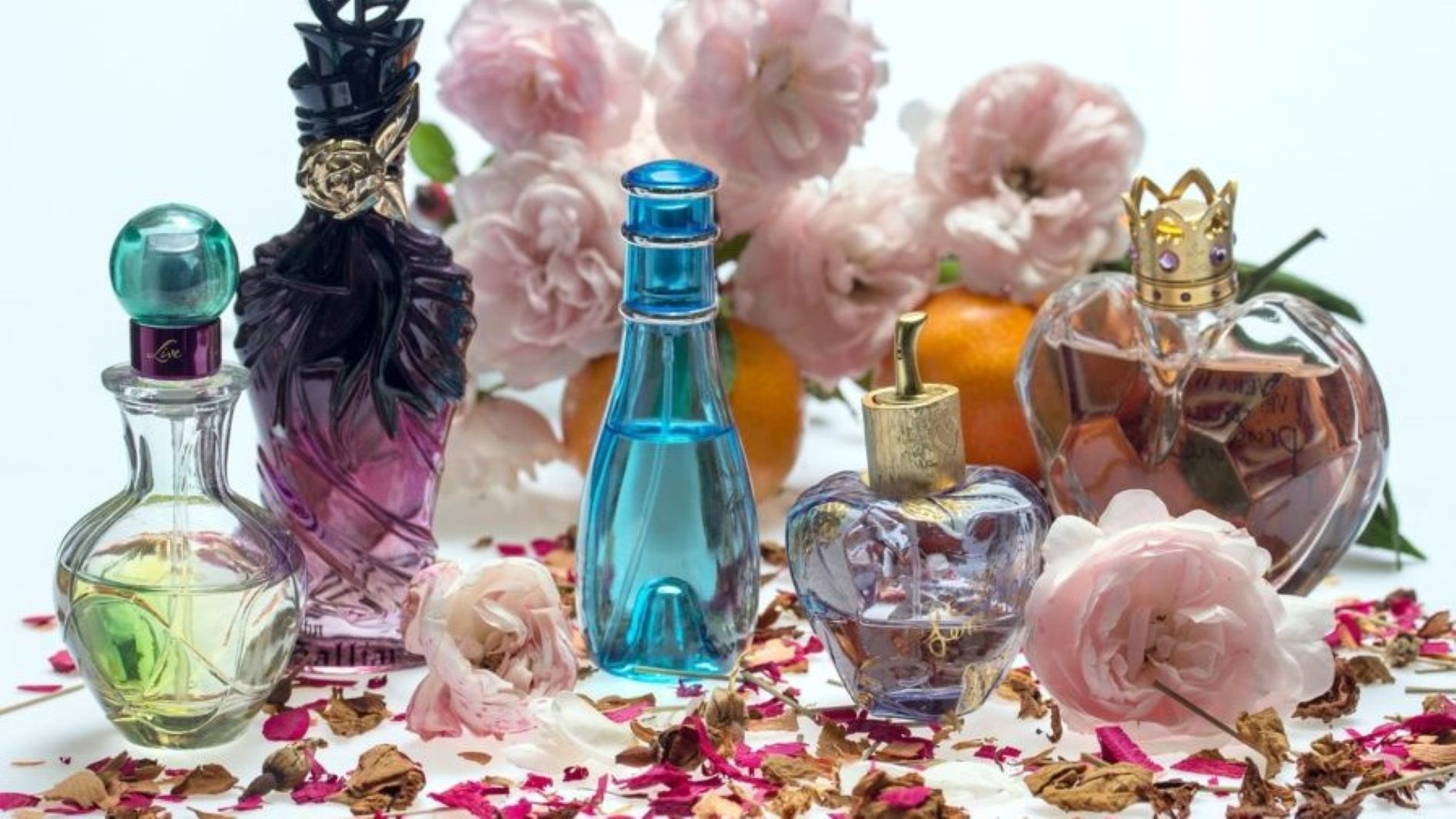 Entrepreneur Tochukwu Shares How to Succeed in Fragrance Sector