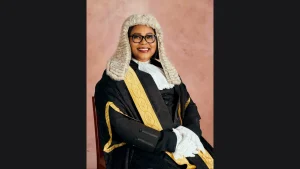 Prof. Joy Ngozi Ezeilo