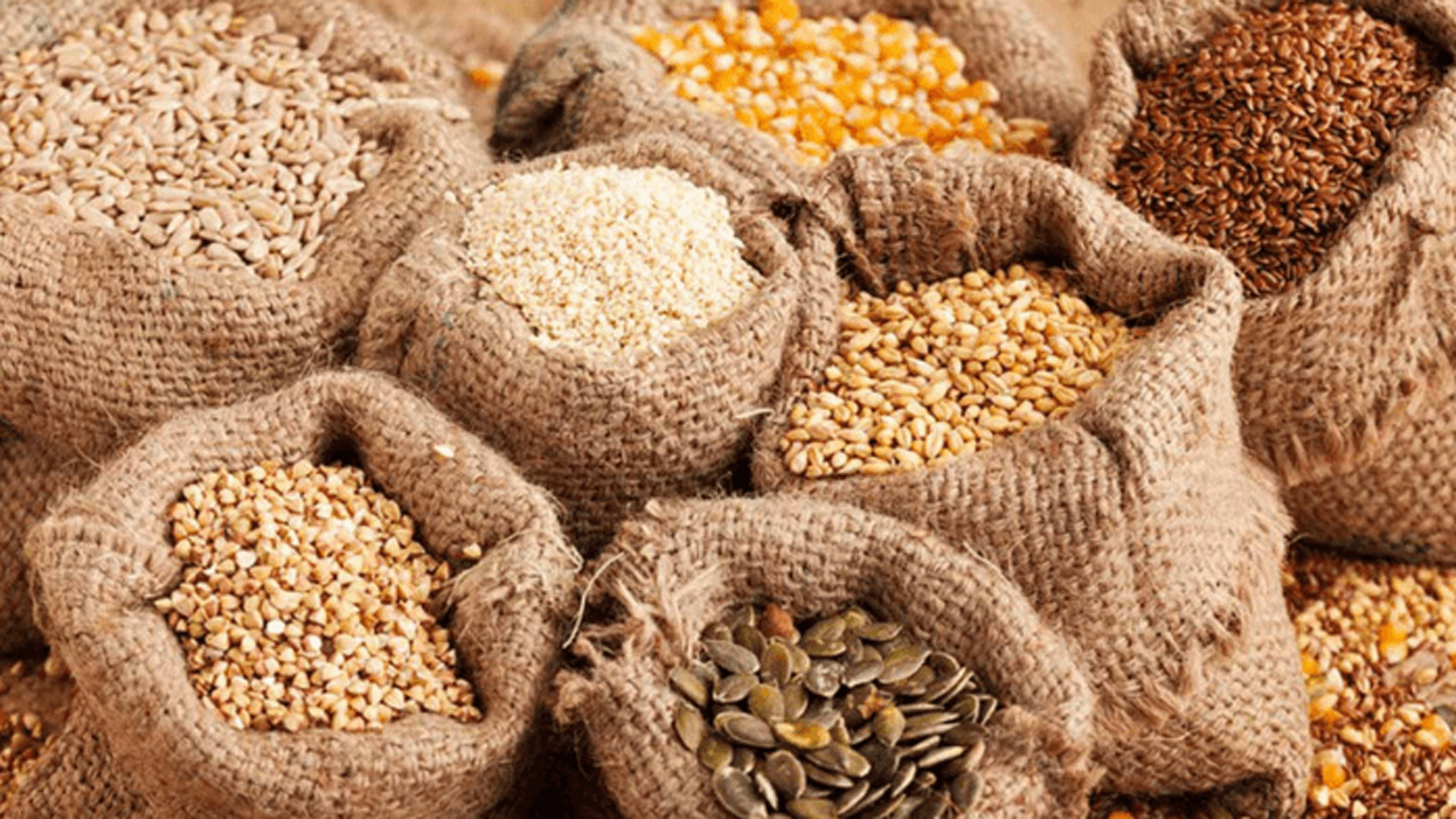 Seed-production-1