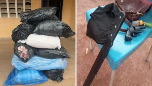 Seized items