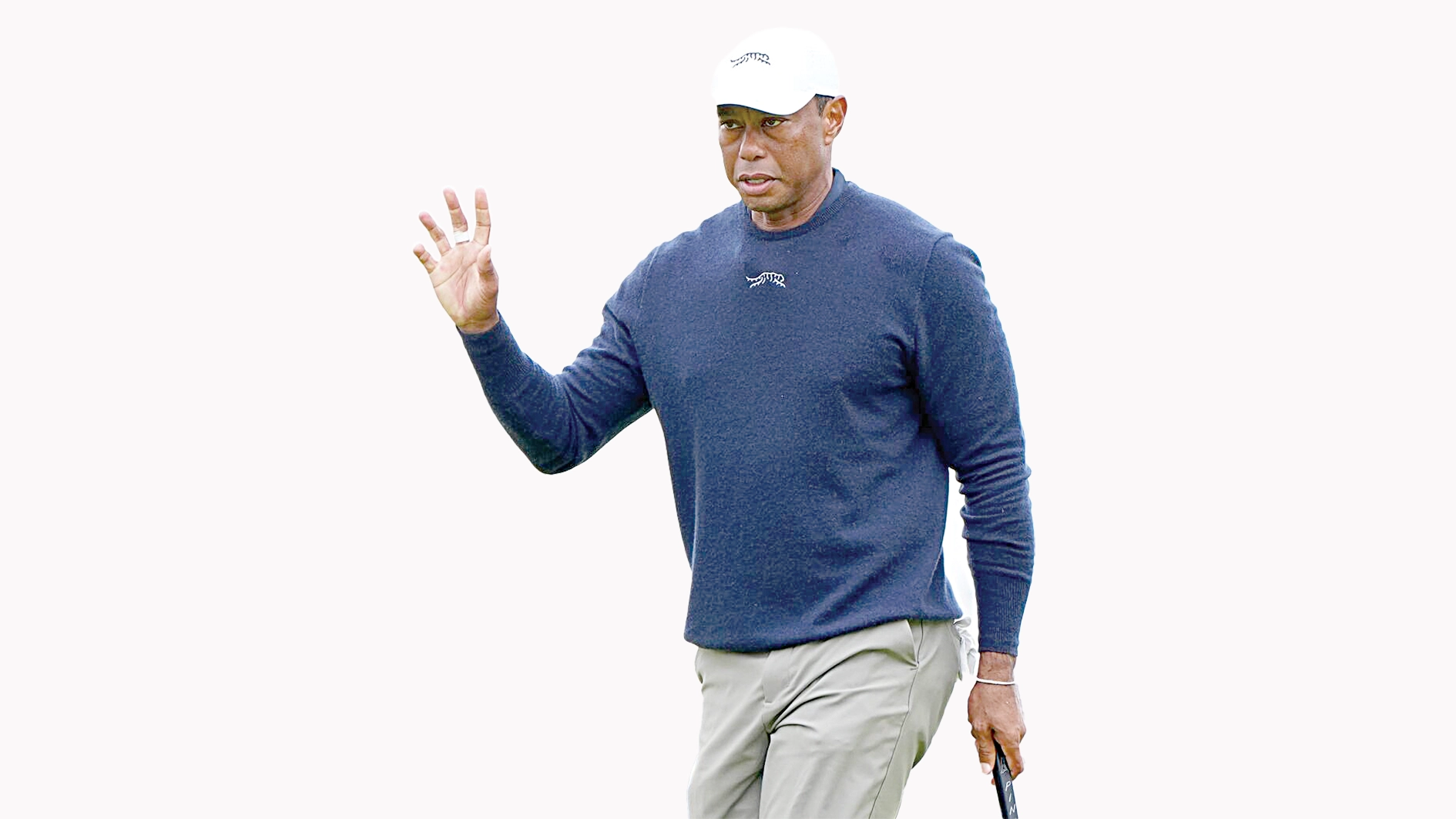 Tiger Wood