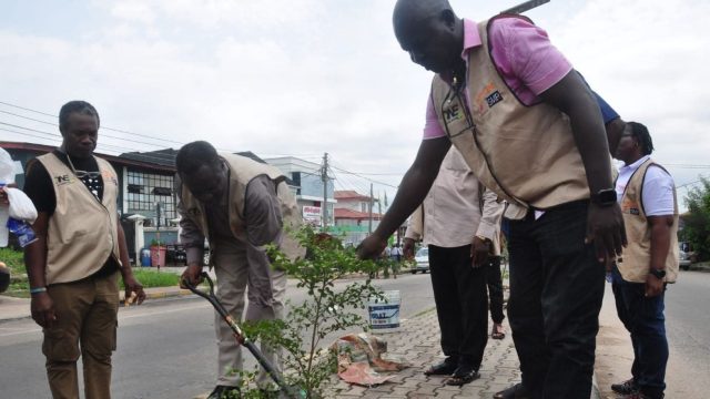 Tree planting