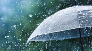 Umbrella