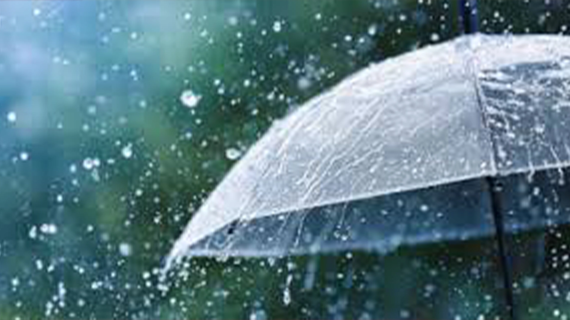 Umbrella