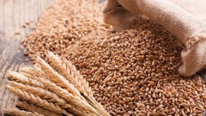 Wheat