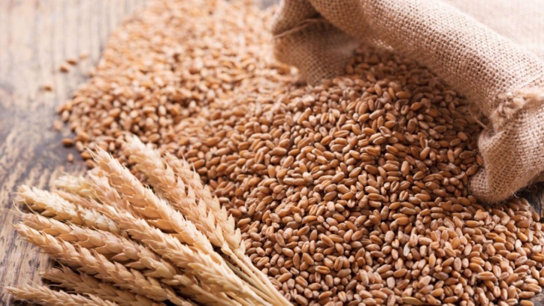 Wheat
