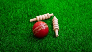 cricket