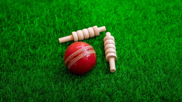 cricket