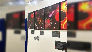 The work on display