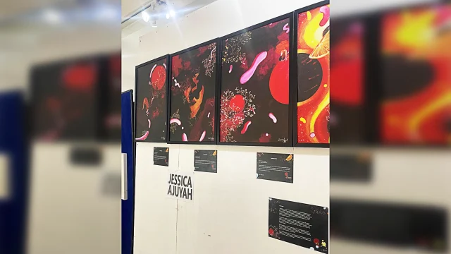 The work on display