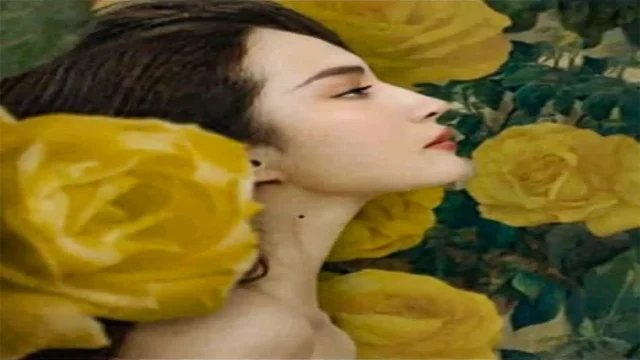 ‘The Tale Of Rose’ Premieres On African Screens ‘The Tale Of Rose’ Premieres On African Screens
