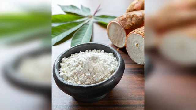 Tapioca, one of the derivatives of cassava