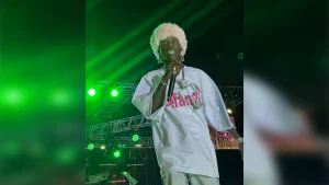 Seyi vibez performing at mainland block party